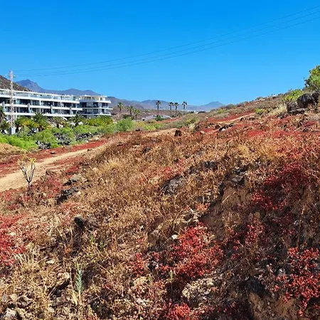 דירה Casa Nora פאלם-מאר