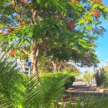 Casa Nora *