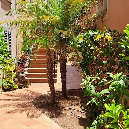 Casa Nora